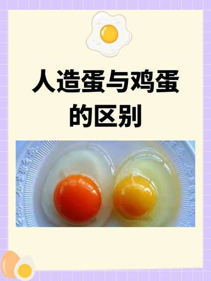 真鸡蛋与人造鸡蛋的区别 真鸡蛋与人造鸡蛋的区别