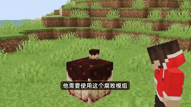 我的世界女吞噬母体