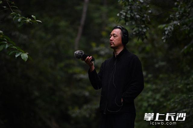 拾音和录音的区别