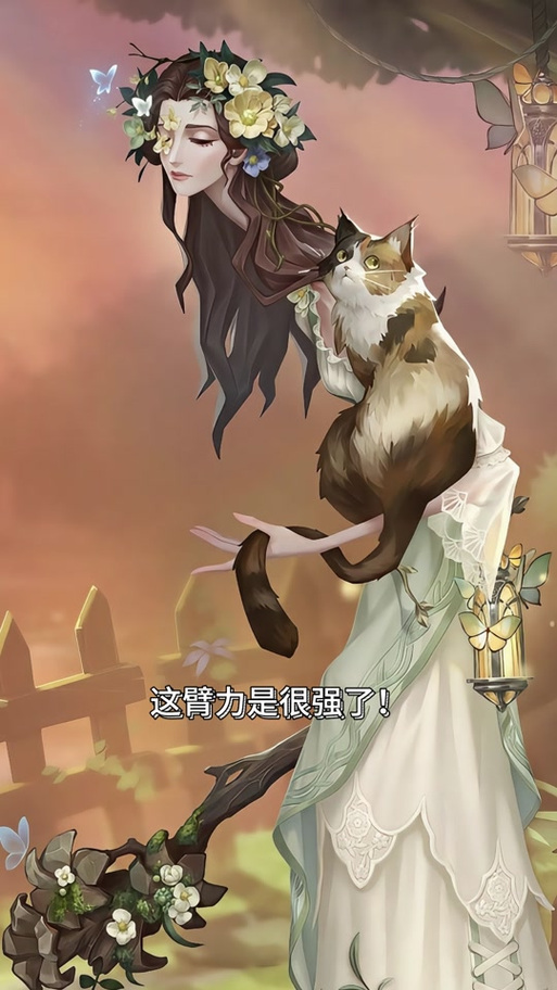 第五人格皮肤