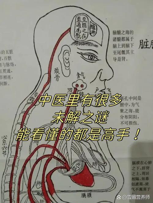 如何破解健康系统