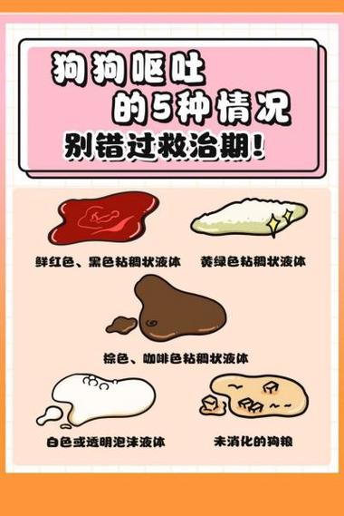 狗狗呕吐的原因