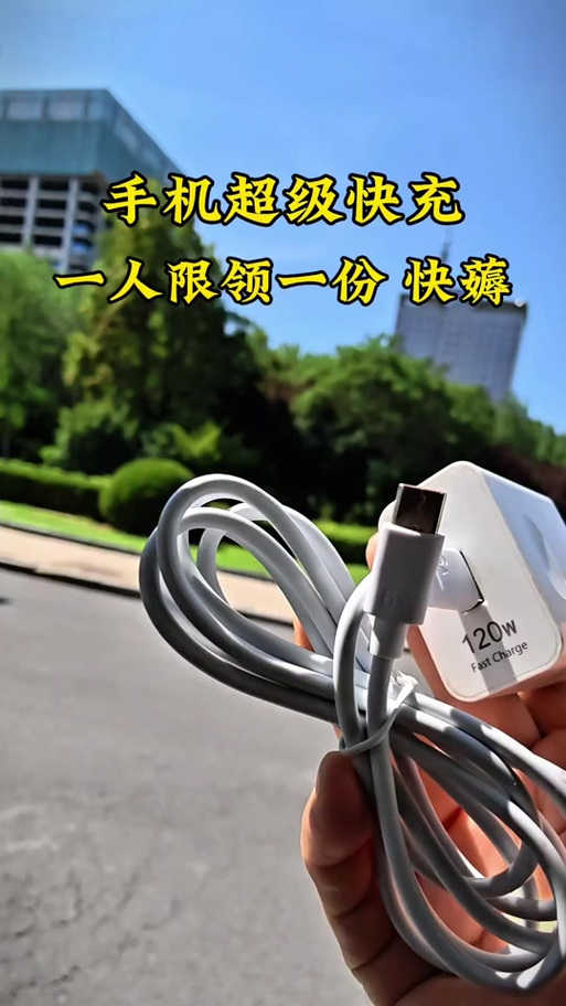 vivo突然不能闪充了截图2