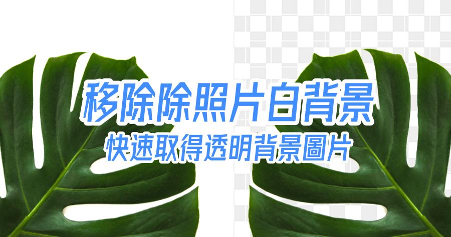 wps文字背景颜色怎么去掉