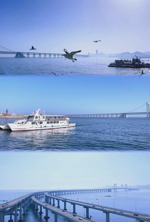 邯郸星海和智考哪个好