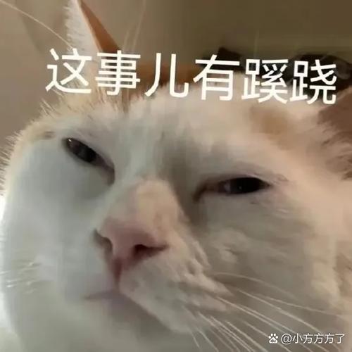 女朋友让我睡觉把流量给关了