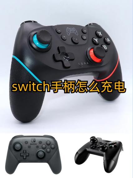 switch手柄怎么单独充电