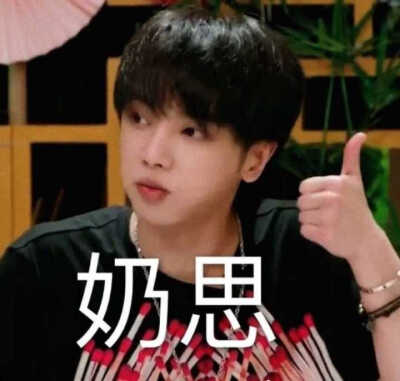 奈斯是夸人还是骂人截图3