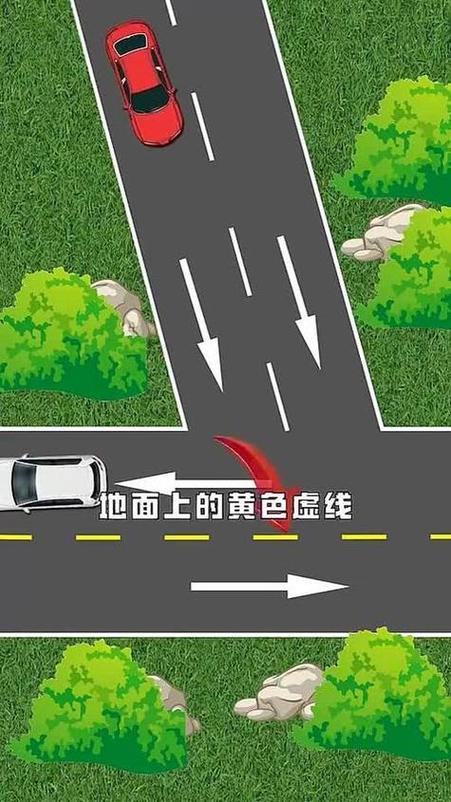 单白线和双白线有啥区别