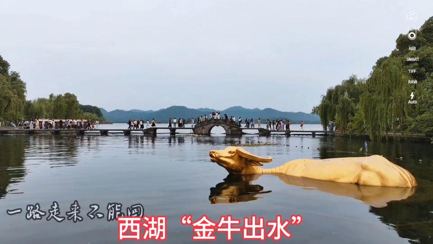 杭州西湖金牛出水 杭州西湖金牛出水