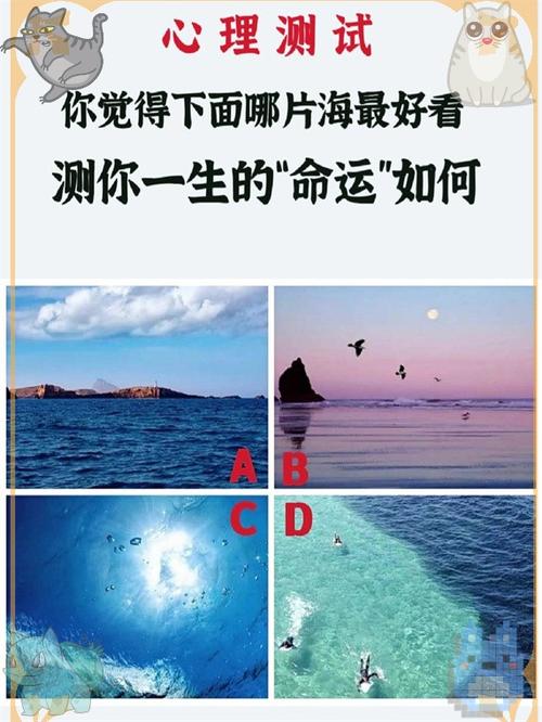测试命运免费测试截图1