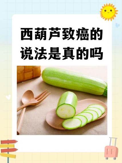 西葫芦致癌吗是真的吗