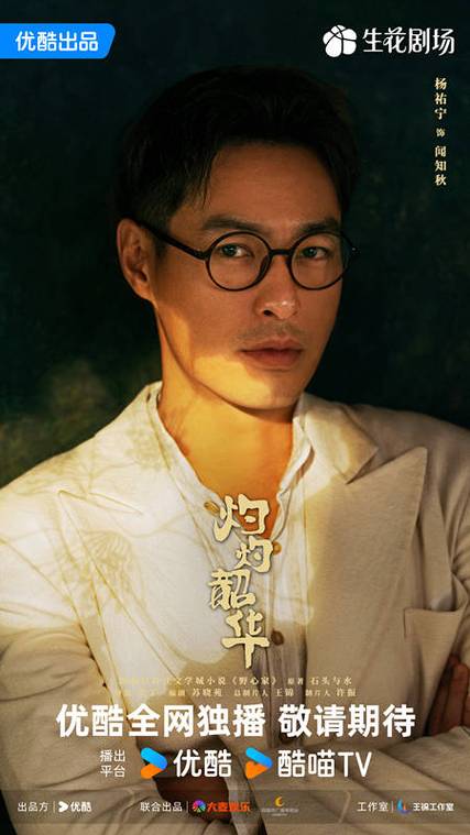 杨祐宁的电视剧