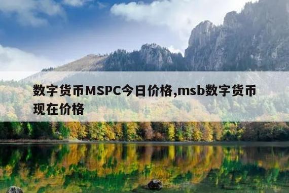 满星云集团MSPC平台币