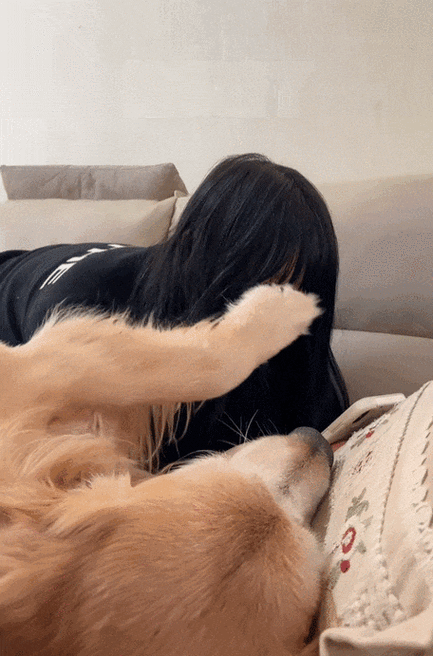 狗和人锁住能两天拔不出来吗?截图2