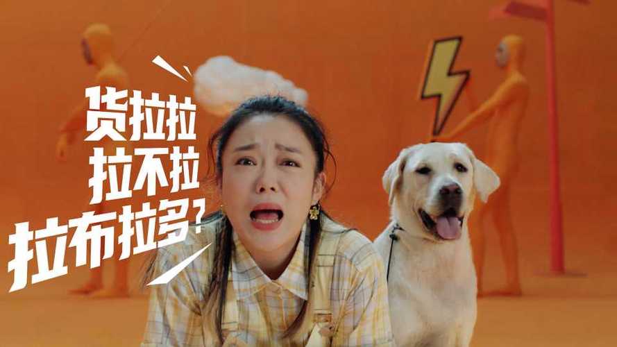 洗脑神曲拉货歌截图1