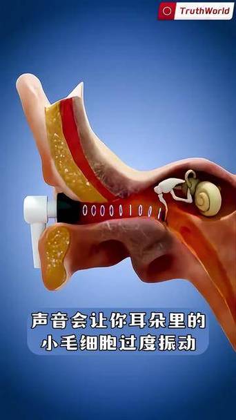 耳朵一下子被超大音量震