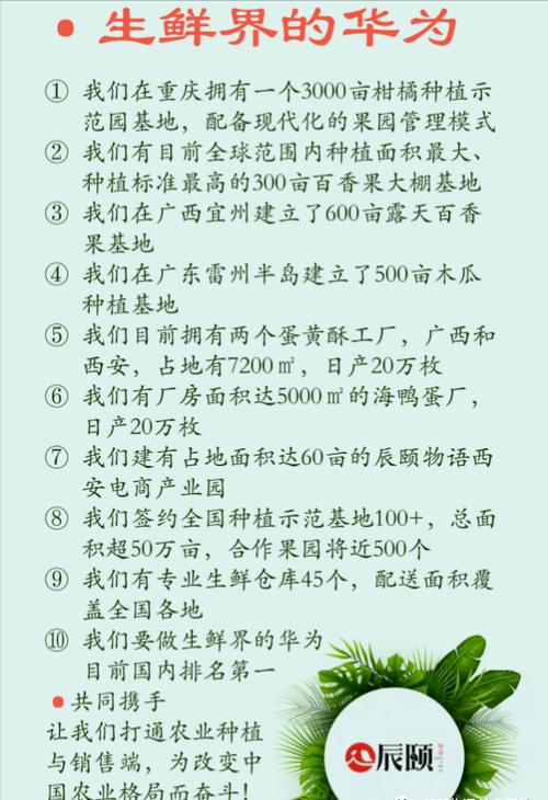 辰颐的东西靠谱吗