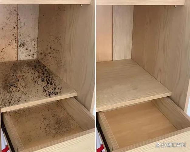 衣柜除霉菌的最好方法
