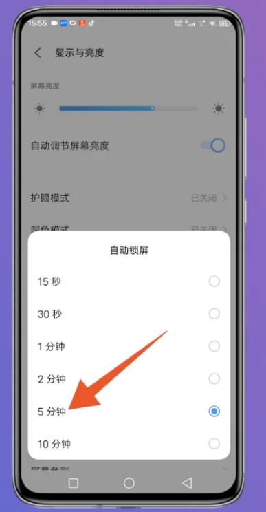 ipad轻点屏幕亮屏在哪里设置