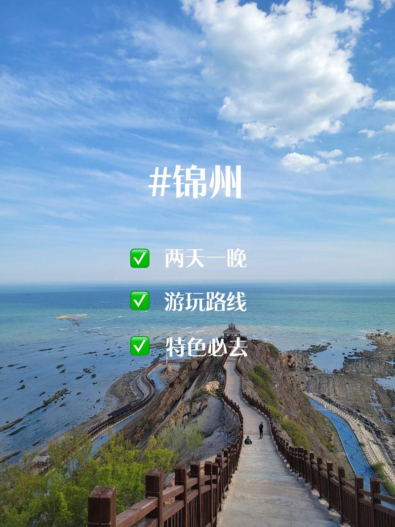 畅行锦州官网