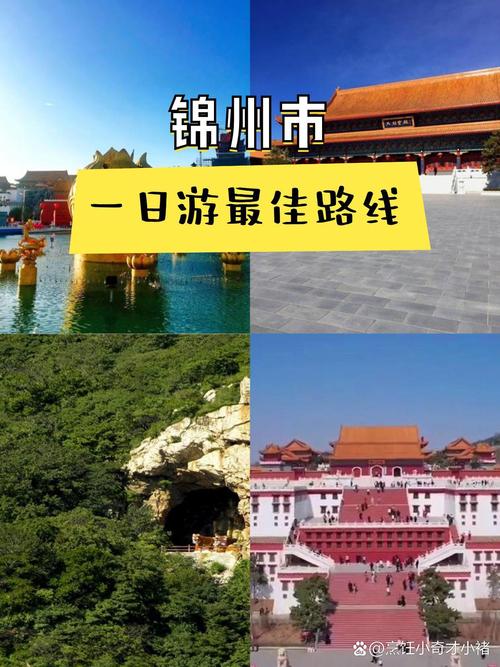 畅行锦州官网截图2