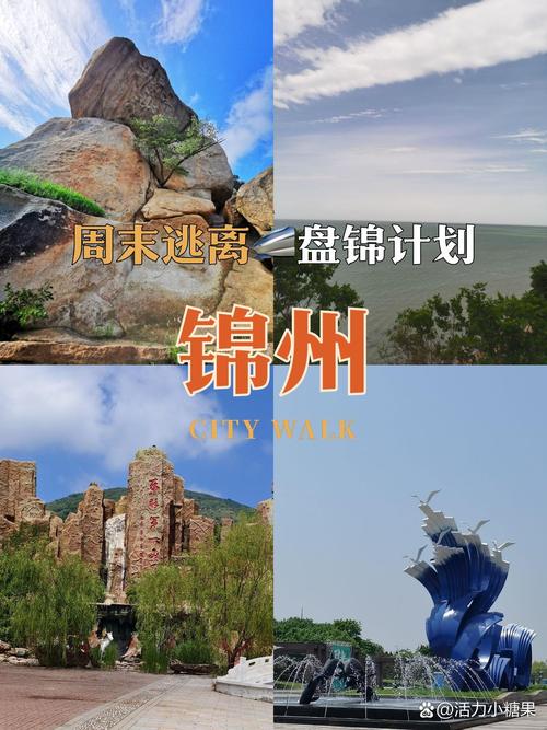 畅行锦州官网截图3