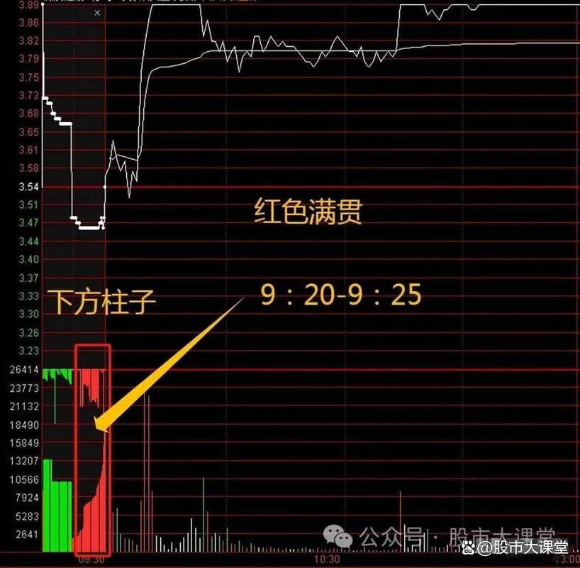 竞买率红色绿色线代表什么截图1