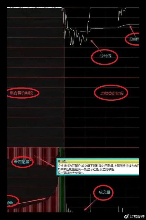 竞买率红色绿色线代表什么截图3