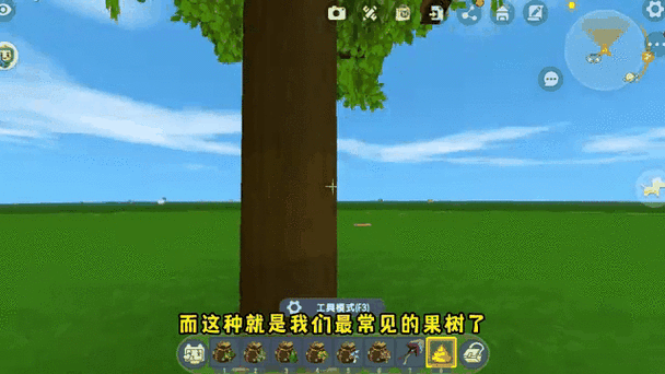 迷你世界神圣树需要水吗