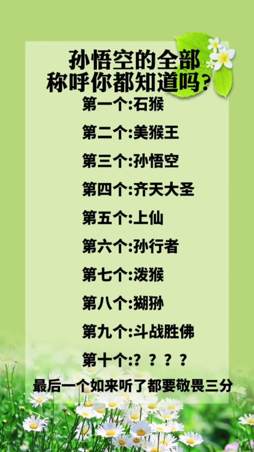 齐天大圣是谁起的名字