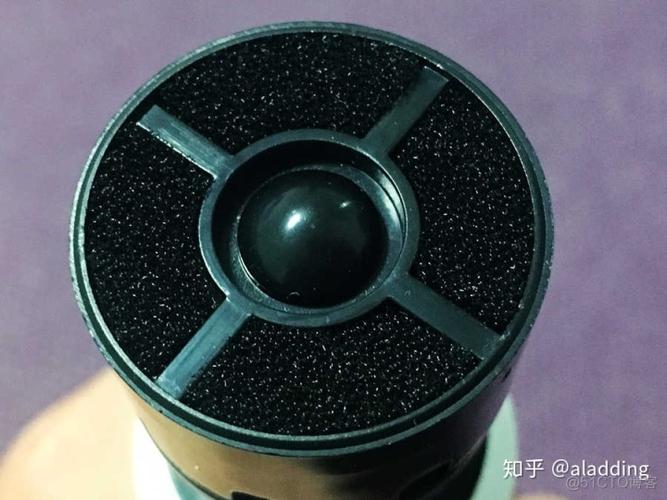 麦克风被占用怎么双开截图2