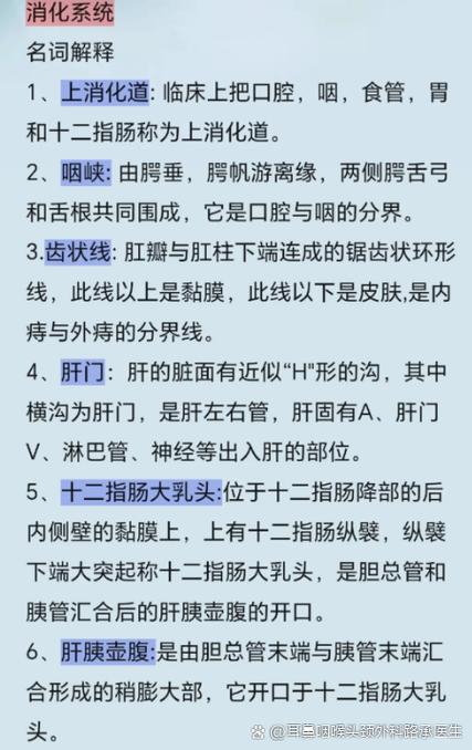 医学的名词解释