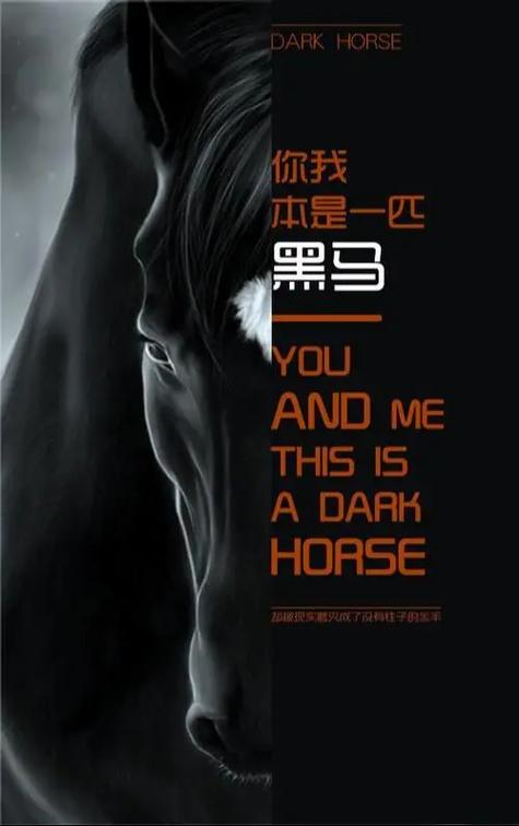 黑马汉化组游戏