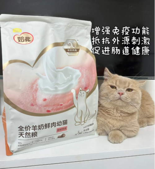 猫咪吃什么猫粮最好最健康