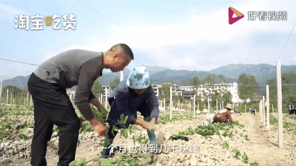 开矿一年能赚多少钱截图2