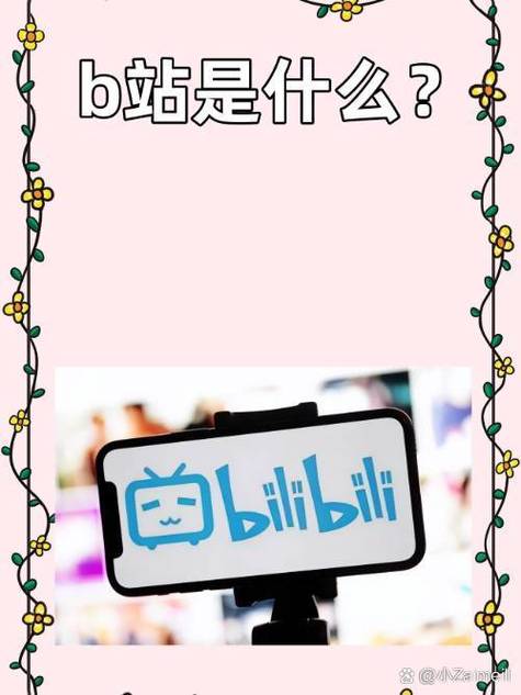 b站的图片库在哪里