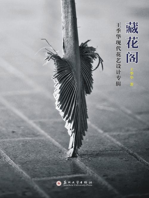 藏花阁最新版下载