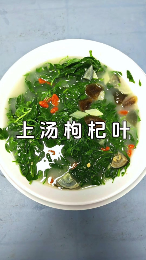 广东枸杞叶的功效与作用