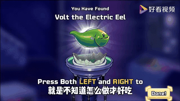 八爪鱼蛋