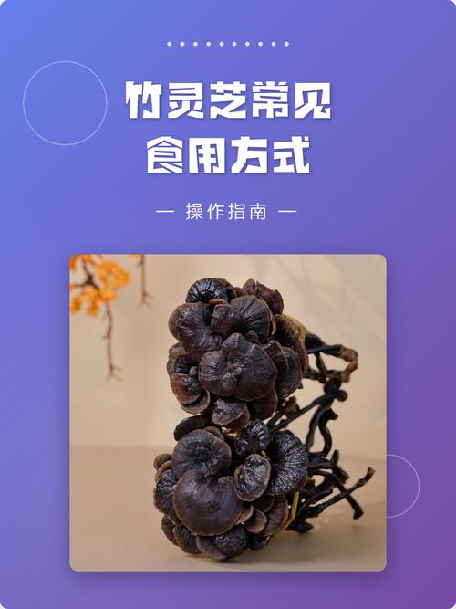 竹灵芝为何不建议吃