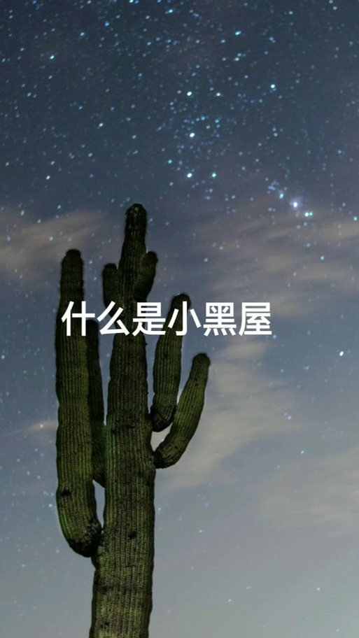 抖音被别人关进小黑屋是什么意思