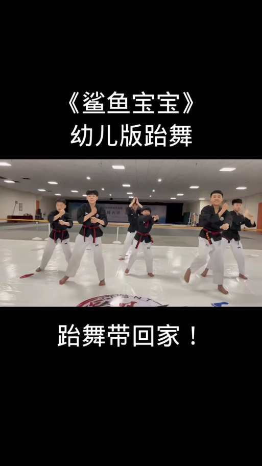 鲨鱼宝宝舞蹈视频(全部)