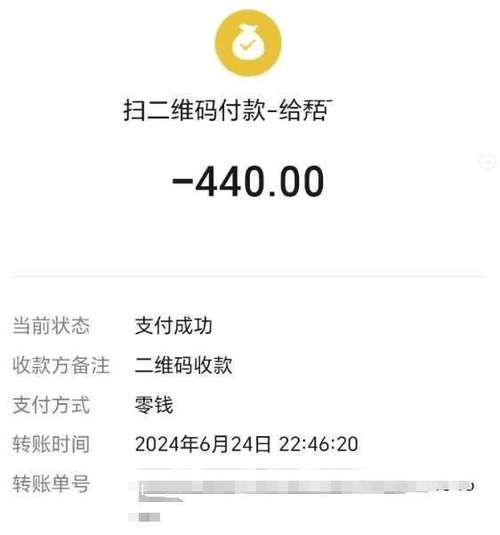 扫一扫付款后页面图片截图1