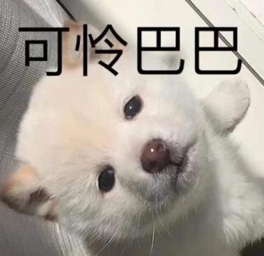 我很可怜他的可怜