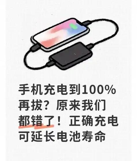 手机充到100马上拔还是一会拔截图1