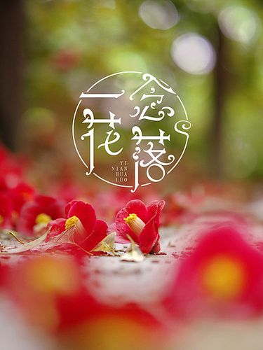 一念花开一念花落出自哪里截图3