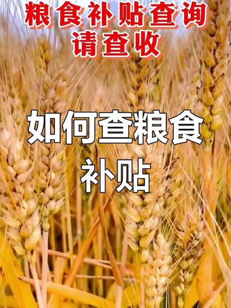 农机补贴没有到账到什么部门去问