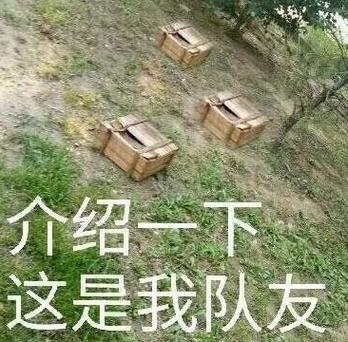 优秀的盒子精解说