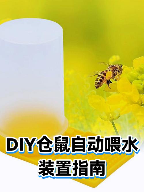 矿泉水瓶制作仓鼠滚轮